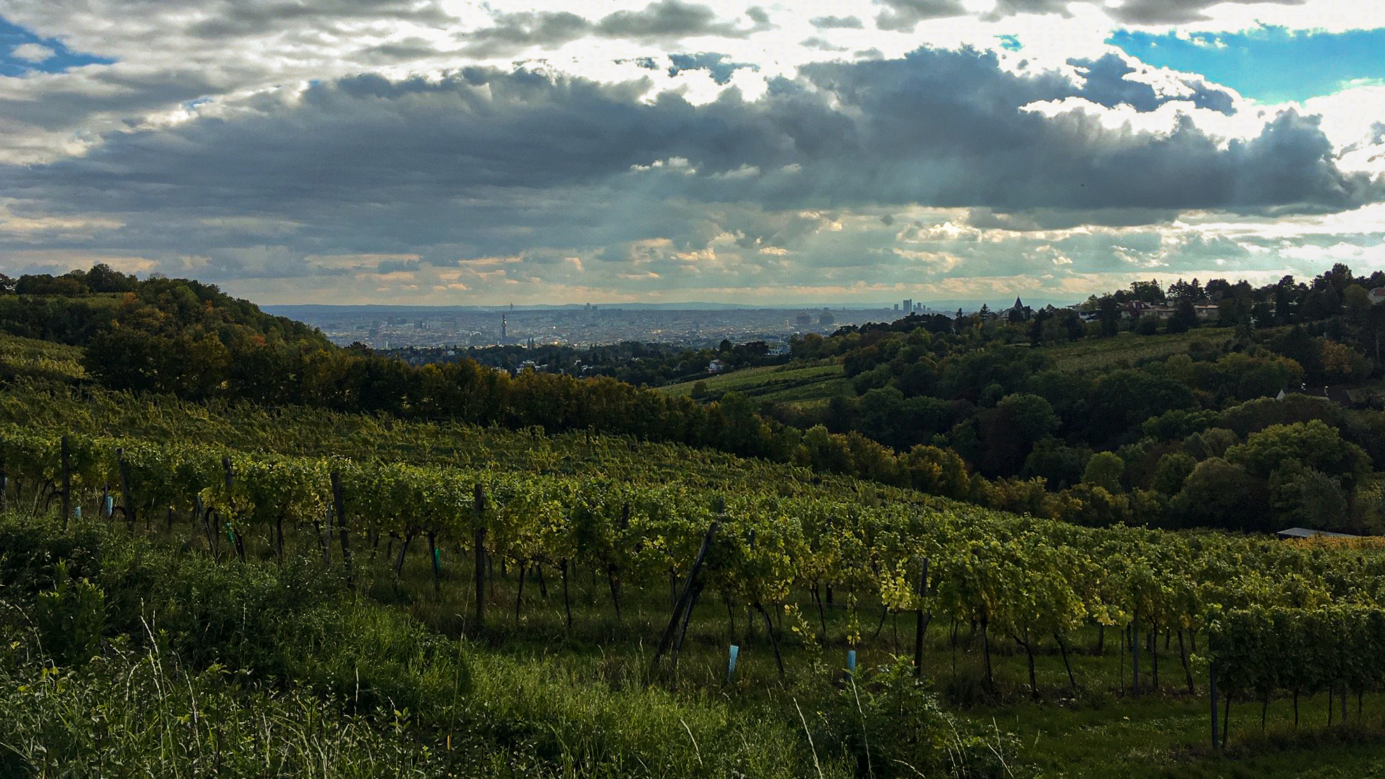 Stadtwanderweg. (c) Anna Whitehead