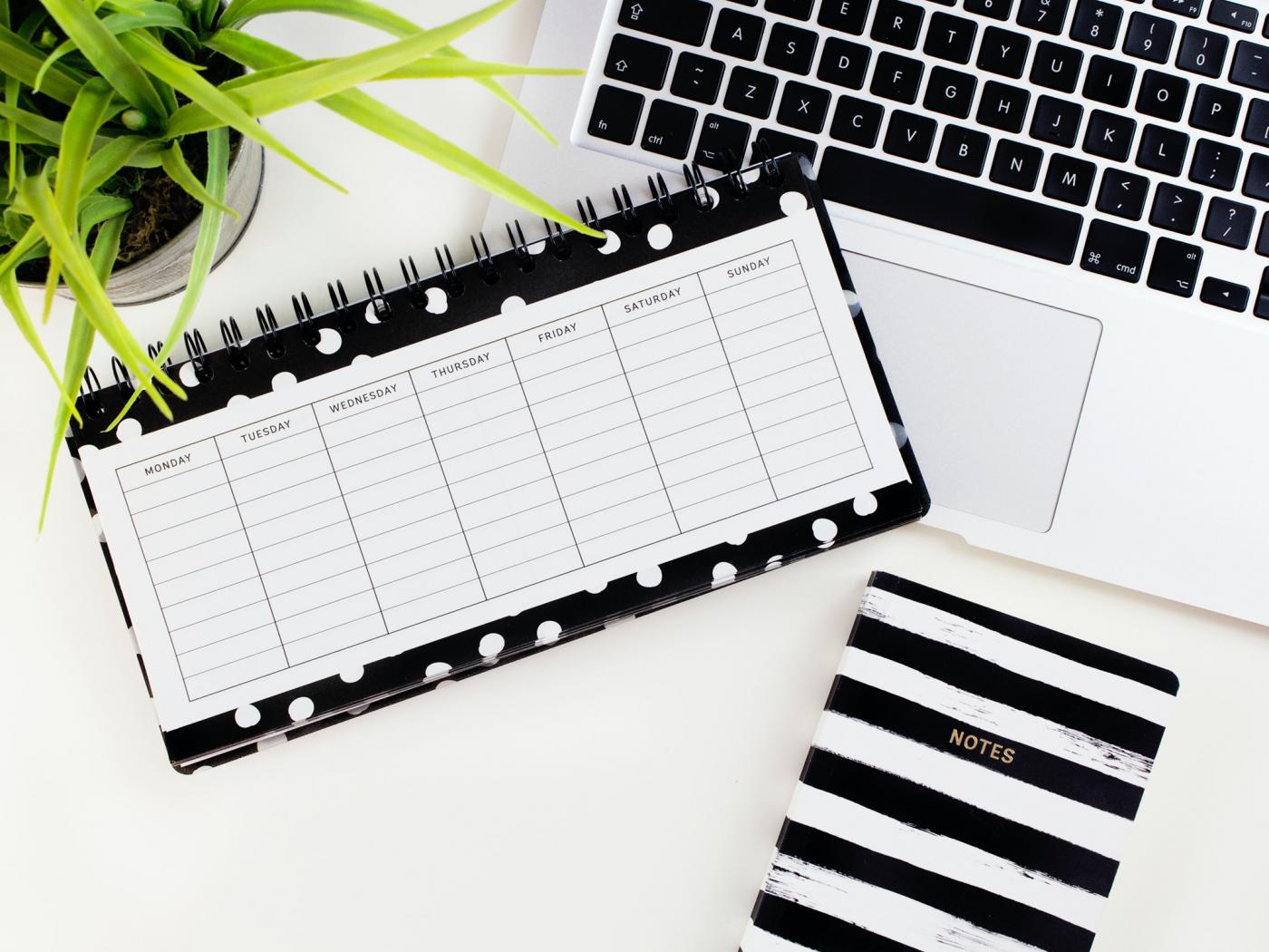 Lernplan erstellen. (c) Emma Matthews auf Unsplash