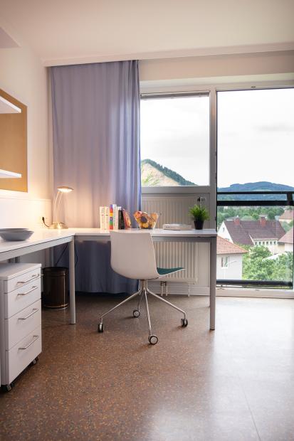 view of desk and into the greenery