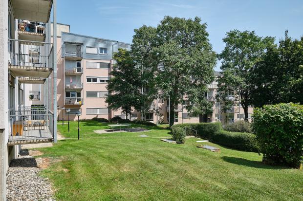 garden @ Martin Schönbauer