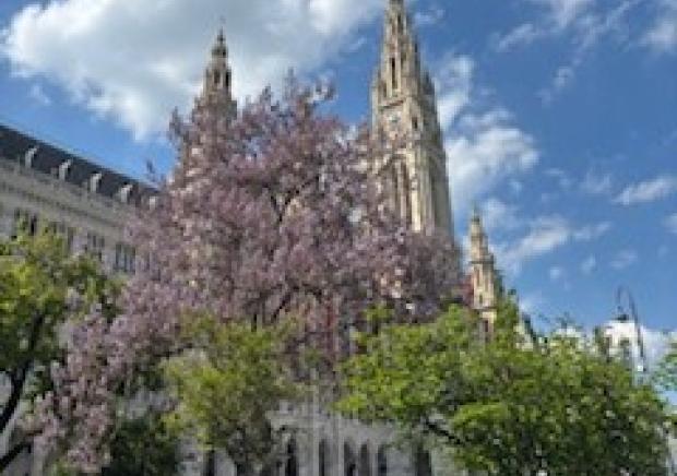 (c) Isabella Hain / Akademikerhilfe 